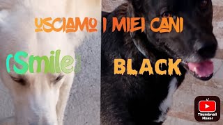 usciamo i miei cani🐕 [upl. by Yrred]