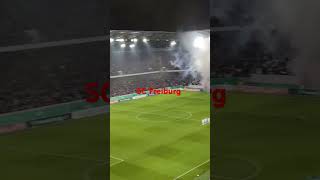 SC Freiburg Europa Germany shortvideo Deutschland shorts [upl. by Ettereve188]