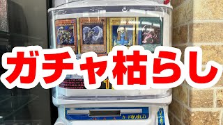 【遊戯王】低額ガチャ枯らしたら爆アドいただきました [upl. by Ytsenoh]