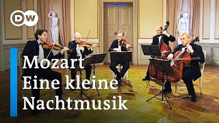 Mozart Eine kleine Nachtmusik  Gewandhaus Quartet with Stefan Adelmann double bass [upl. by Haig936]