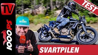 Husqvarna Svartpilen 701 2019 Test  Mit Sound und Erfahrungen für Vergleich [upl. by Navada233]