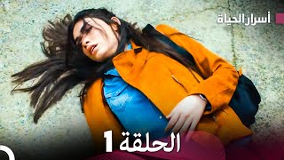 أسرار الحياة الحلقة 1 Arabic Dubbed [upl. by Ellevehs49]