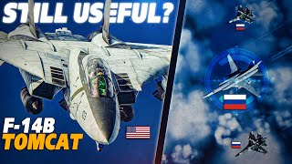 Is The F14 Tomcat Still Useful Was It Retired Too Soon   Digital Combat Simulator  DCS [upl. by Adnohsirk]