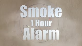 Smoke Alarm Smoke Detector Sound 1 Hour [upl. by Wier]