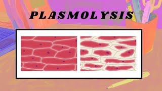 Plasmolysis and Pressure Potential [upl. by Ailongam]