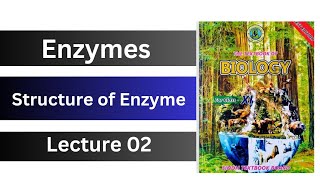 structure of enzyme  chapter 2 enzymes  class 11 biology Sindh board new book [upl. by Meerak]