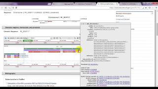 How to identify the position of exons of any gene by ncbi [upl. by Warton]