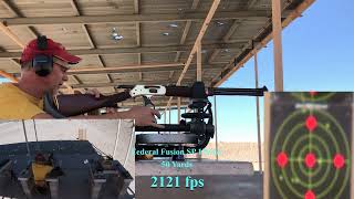 Henry 3030 LeverAction Sidegate  Ammo Test 31221 [upl. by Manolo]