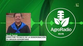 Entrevista  Óscar Torres director técnico de la Denominación de Origen Somontano [upl. by Ranip]