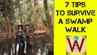 Top 7 Tips to Survive a Swamp Walk [upl. by Rahsab247]