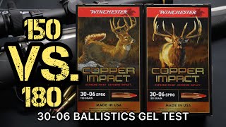 SHOWDOWN 3006 Winchester Copper Impact 150 vs 180 grain Ballistics Gel Ammo Test [upl. by Latoyia]