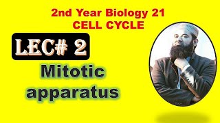 Mitotic apparatus Lecture no 2 chapter NO 21 2nd year Biology [upl. by Bortman]