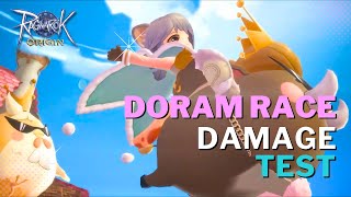 Ragnarok Origin Doram Class Damage Test [upl. by Alat909]