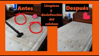 🐞Como limpiar y desinfectar tu colchón para acabar con los ácaros🕷 y las pieles muertas [upl. by Harlow]