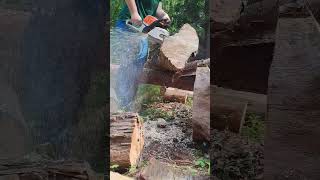 Cutting firewood whit stihl MSA 362stihlchainsawfirewood [upl. by Izmar]