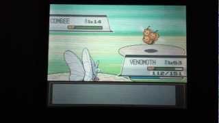 How to find Slakoth and Combee Pokemon Heart gold Soul silver [upl. by Noelc]