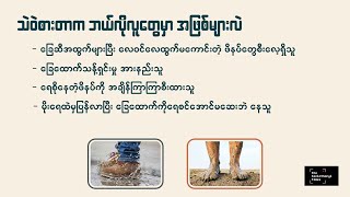 “သဲဝဲစားခြင်းကို ဘယ်လိုရင်ဆိုင်မလဲ” [upl. by Asirem]