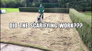 Lawn SCARIFYING Update amp Results Does Scalping Grass Really Work [upl. by Einot]