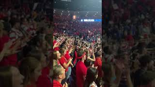 Bear Down Arizona  Arizona Fight Song collegefightsongs beardown fightsong [upl. by Hgielek645]