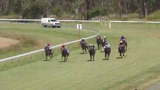 Nanango 30032024 Race 1 [upl. by Lonyer]