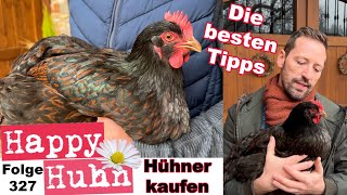 Hühner kaufen  Die besten Tipps  Züchter finden  Gesunde Hühner erkennen HAPPY HUHN E 327 hühner [upl. by Evslin]