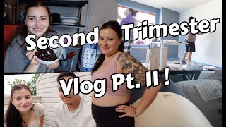 Second Trimester Vlog Pt 2  59 [upl. by Saunders]