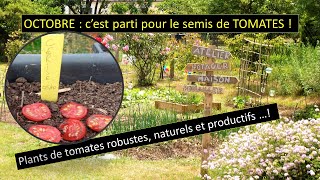 OCTOBRE le moment idéal pour semer vos tomates [upl. by Suvart135]