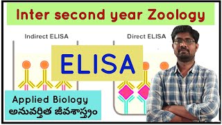 Indirect ELISA Process  అప్రత్యక్ష ELISA విధానం [upl. by Carlina745]