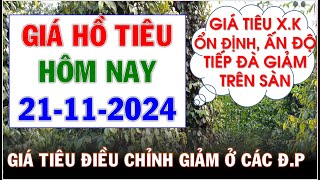 Giá Hồ tiêu hôm nay ngày 21112024Giá tiêu điều chỉnh giảm trở lại ở các địa phương [upl. by Abehs]