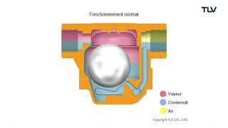 Fonctionnement en animation  Purgeur de vapeur à flotteur fermé libre SS gamme [upl. by Gilbertina]