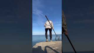 Fishing Ashtabula Break Wall for Monster Steelhead fishing lakeerien fish steelheadfishing [upl. by Eriha]