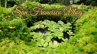 San Francisco Vlog 1 [upl. by Dougald]