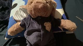 Ezra theme Thursday teddy bear [upl. by Atikal]