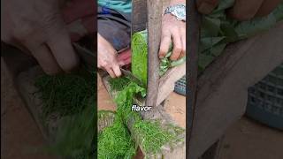 The way to dry Tobacco leaves🌱shorts viralvideo [upl. by Arhat]