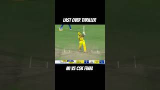 Dramatic and thrilling last over in final shorts cricket cricketlover [upl. by Eneri]