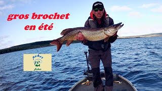 gros brochet en été [upl. by Lanod]