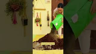 Soil mix recipe for monsoon vegetables and houseplants [upl. by Scottie16]