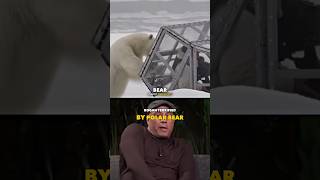 Joe Rogan Gets Terrified By Polar Bear [upl. by Ailb]