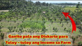 Mga Dapat Itanim sa Diversified Farming para sa NONSTOP na Income [upl. by Thor]