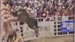 Bull Escapes Arena During Rodeo Event Injures 3 People [upl. by Haerle]