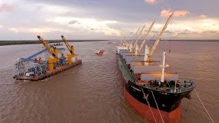 Oldendorff Transshipment  Guyana [upl. by Ellard]