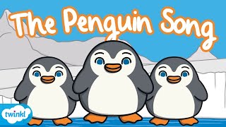 The Penguin Song 🐧  Twinkl Original Songs for the Classroom [upl. by Reisch920]