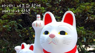 마네키네코 발상지 코우토쿠지 🐱 트램 타고 세타가야 한 바퀴 🚋 [upl. by Nyrret]