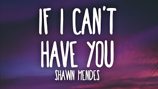 Shawn Mendes  If I Cant Have You Lyrics [upl. by Stryker]