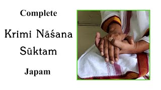 ENGLISH  Krimi Nashana Mantra Japa  To Destroy Viruses and Germs  Atharva Veda  Sri K Suresh [upl. by Diantha]