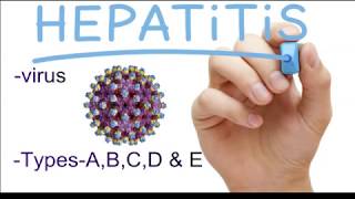 hepatitis b treatment in hindi hepatitis b ka upay in hindi [upl. by Acsehcnarf]