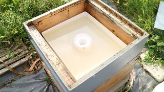 Rapid Feeder For Bees 6 Litre Capacity Honey Bee Feeder [upl. by Trovillion261]