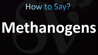 How to Pronounce Methanogens correctly [upl. by Graehl]