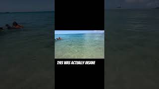 Predator fish chasing bait fish on shore papio Oama hawaii hawaiifishing [upl. by Zeb]