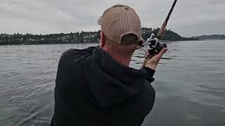 Puget Sound Coho Salmon Fishing [upl. by Prober]